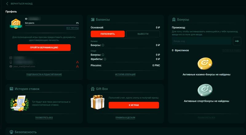 Профиль игрока